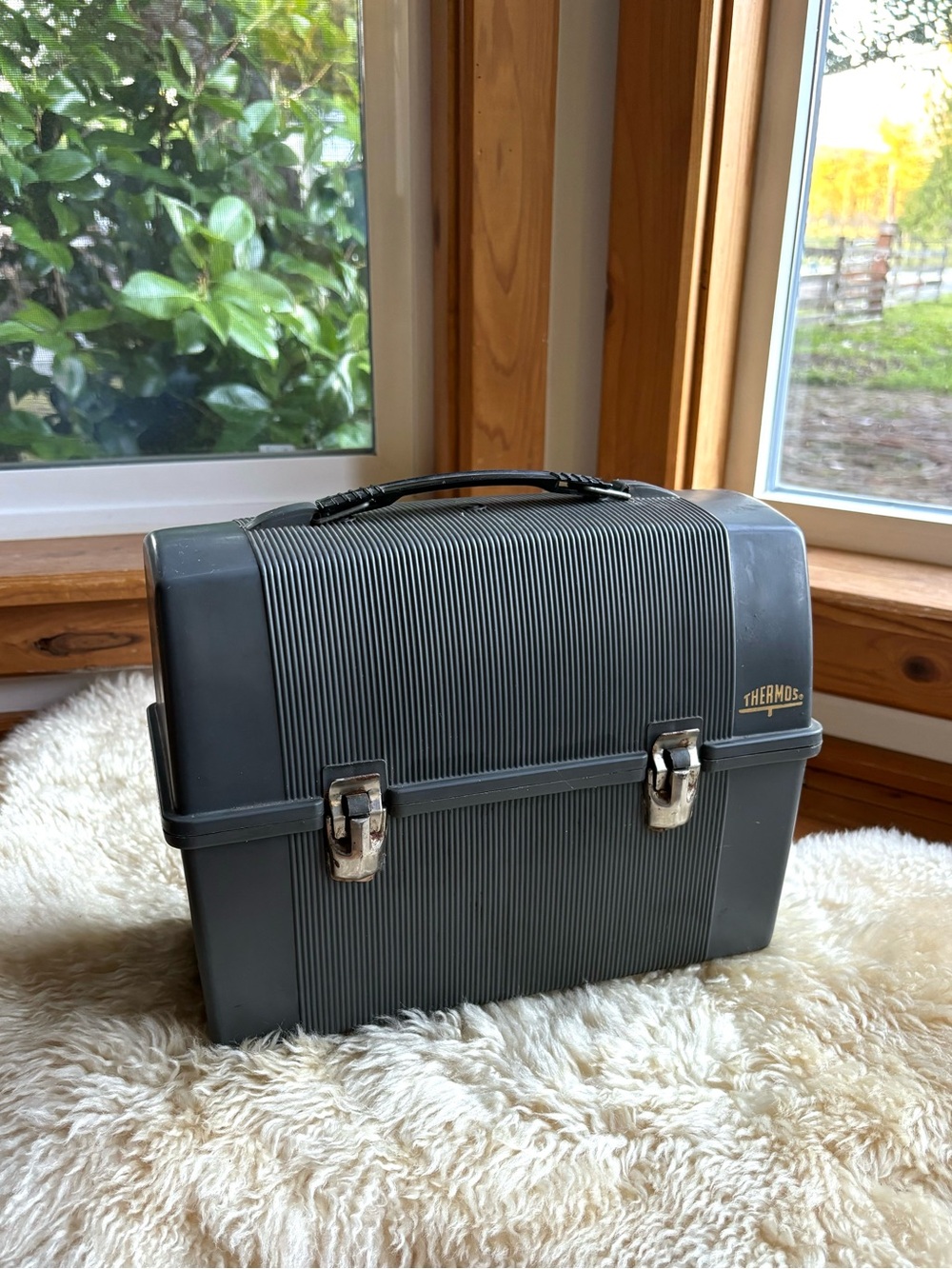 Vintage Thermos Lunchbox